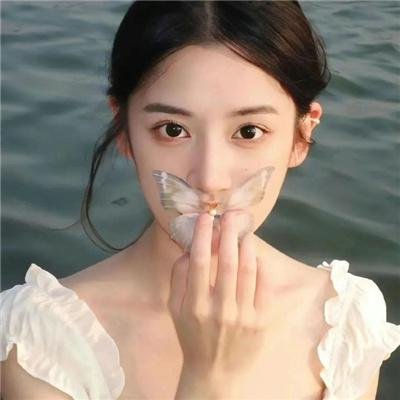 凤舞花飞